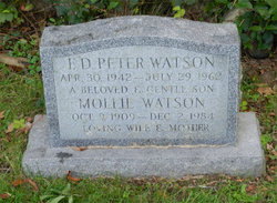 F.D. Peter Watson 