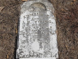 Edmond E Young 