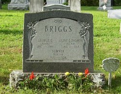 Sumner Briggs 