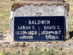 David Carnes M Baldwin 