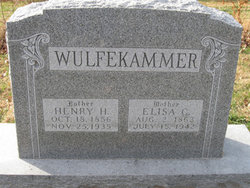 Henry H. Wulfekammer 