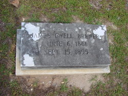 James Ewell Brewer 