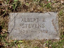 Albert Emerson Stevens 