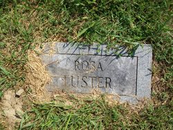 Rosa Rosie <I>Smith</I> Luster 