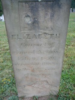 Elizabeth <I>Johnston</I> Agnew 