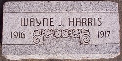 Wayne J. Harris 