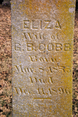 Eliza Lou <I>Griffen</I> Cobb 