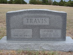 David Crockett Travis 