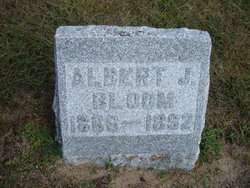 Albert J. Bloom 