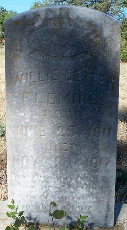Willie Lester Fleming 