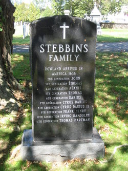 Stebbins 