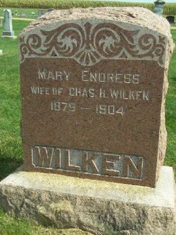 Mary <I>Endress</I> Wilken 