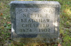 Nettie E. <I>Bradshaw</I> Chesebro 