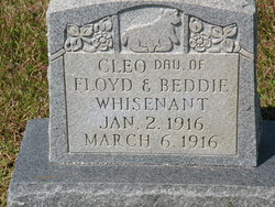 Cleo Whisenant 
