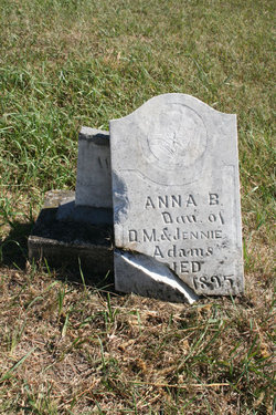 Annie B Adams 