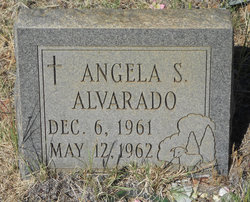 Angela S. Alvarado 