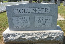 Adam B Bollinger 