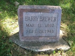 Harry Brewer 