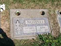 Antonio Novelli 
