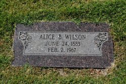 Alice <I>Briggs</I> Wilson 