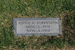 Anna V Johnson 