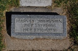 Harvey Johnson 