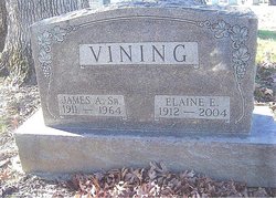 James A. Vining 