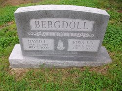 David L. Bergdoll 
