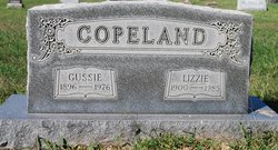 Elizabeth “Lizzie” <I>Barnhart</I> Copeland 
