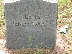 Ilene Pendergrass 