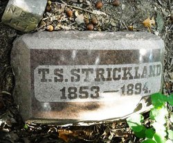 Thomas S Strickland 