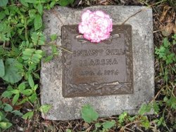 Infant Girl Llarena 
