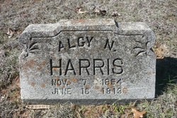 Algy N. Harris 