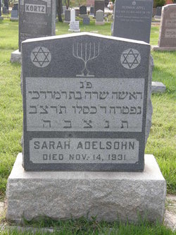 Sarah Adelsohn 