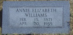 Annie Elizabeth <I>Morgan</I> Williams 