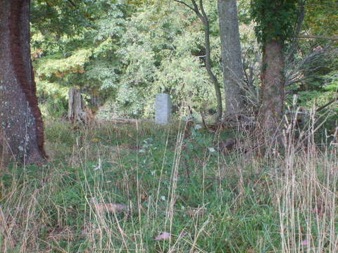Bolt Cemetery