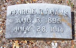 George R Adams 