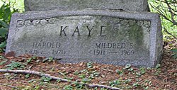 Harold Kaye 