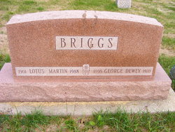 Lotus <I>Martin</I> Briggs 