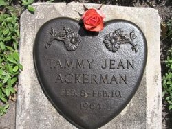 Tammy Jean Ackerman 
