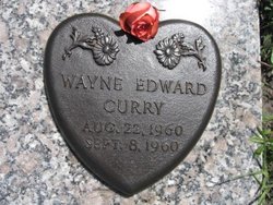 Wayne Edward Curry 