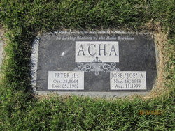 Peter L Acha 
