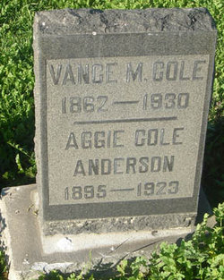 Agnes “Aggie” <I>Cole</I> Anderson 