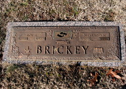 Roy Johnson Brickey 
