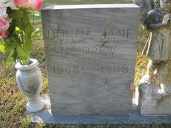 Donna Jane Andrew 
