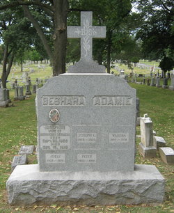 Peter Adamie 