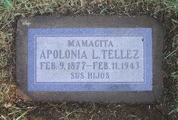 Apolonia Lara <I>Tellez</I> Martinez 