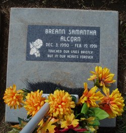 Breann Samantha Alcorn 