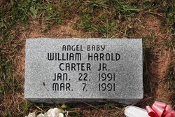 William Harold Carter Jr.