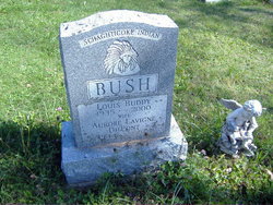 Louis Eugene “Buddy” Bush 